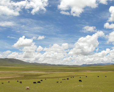 チベットの高原地帯の写真